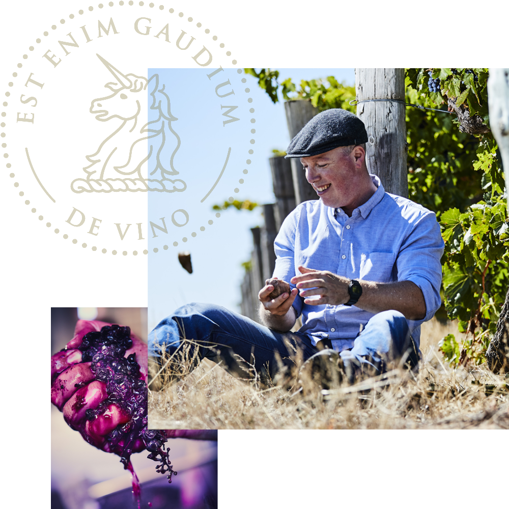 Our Winemaker